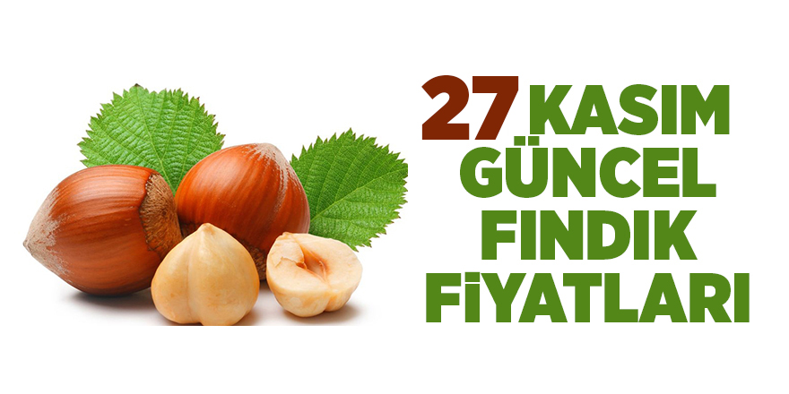 27 Kasım güncel fındık fiyatları - samsun haber