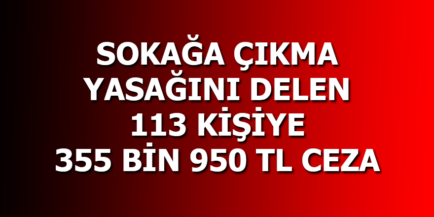 Sokağa çıkma kısıtlamasını ihlal eden 113 kişiye 355 bin 950 TL ceza