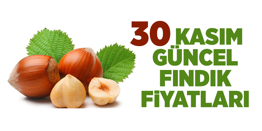 30 Kasım güncel fındık fiyatları - samsun haber