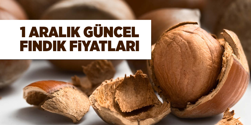 1 Aralık güncel fındık fiyatları - samsun haber