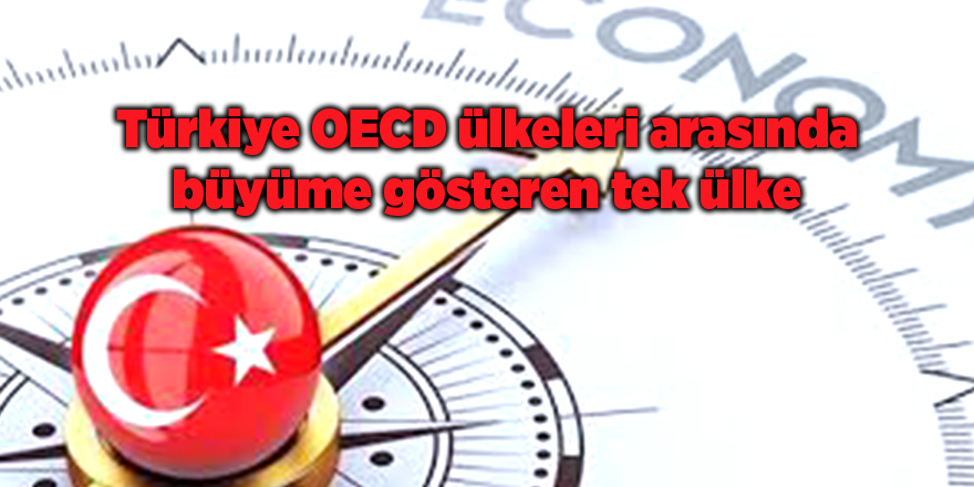 Türkiye OECD ülkeleri arasında büyüme gösteren tek ülke - samsun haber