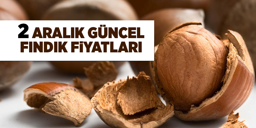 2 Aralık güncel fındık fiyatları - samsun haber