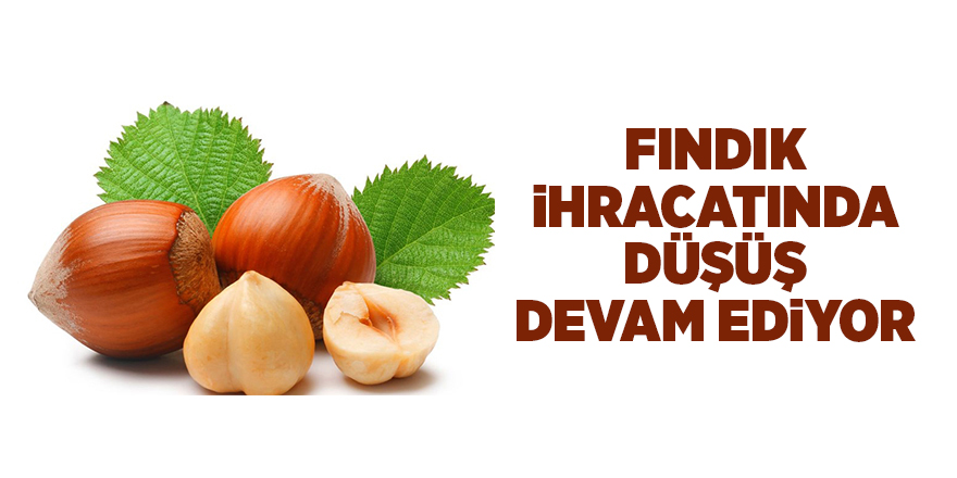 Fındık ihracatında düşüş devam ediyor - samsun haber