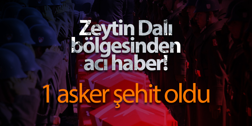 Zeytin Dalı bölgesinden acı haber! 1 asker şehit oldu - samsun haber