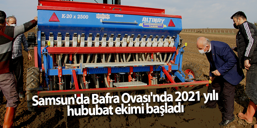 Samsun'da Bafra Ovası'nda 2021 yılı hububat ekimi başladı - samsun haber