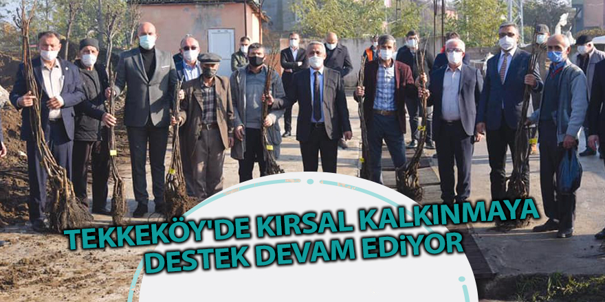 Tekkeköy'de kırsal kalkınmaya destek devam ediyor - samsun haber