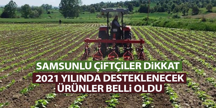 2021 yılında desteklenecek ürünler belli oldu - samsun haber