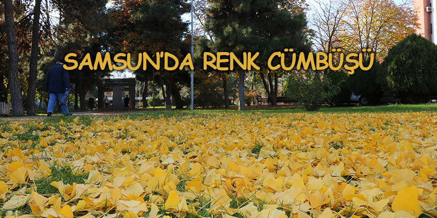 Samsun’da renk cümbüşü - samsun haber