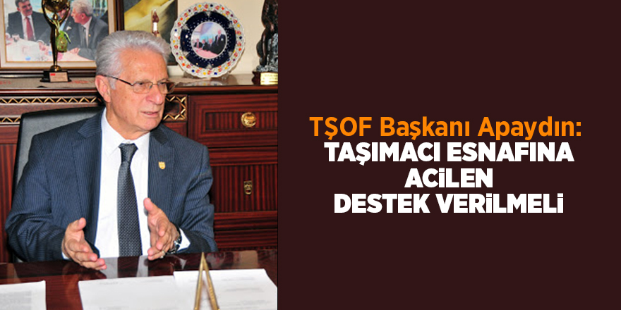 TŞOF Başkanı Apaydın:  Taşımacı esnafına acilen destek verilmeli - samsun haber