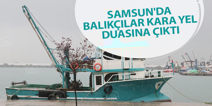 Samsun'da balıkçıların başı denizanaları ile dertte - samsun haber