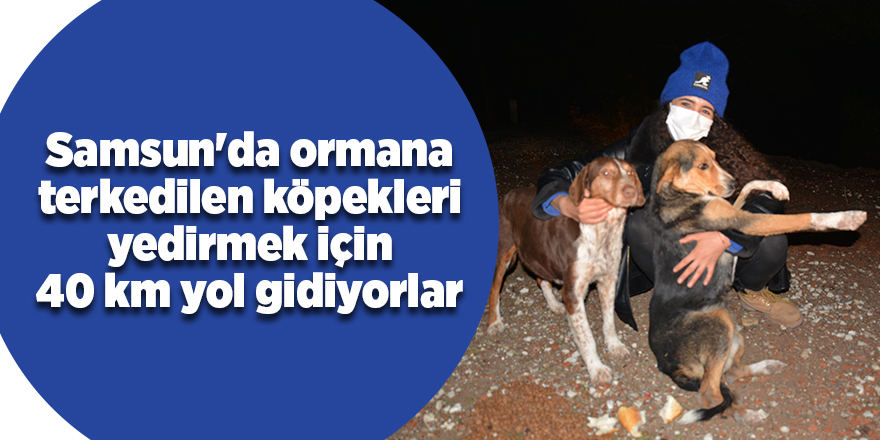 Samsun'da ormana terkedilen köpekleri yedirmek için 40 km yol gidiyorlar