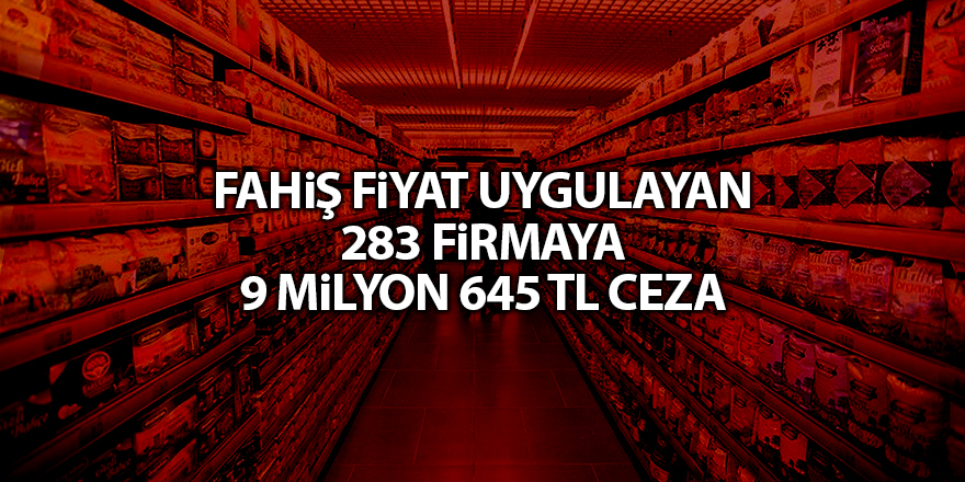 Fahiş fiyat uygulayan 283 firmaya 9 milyon 645 TL ceza - samsun haber