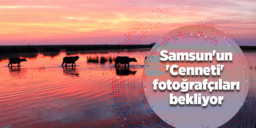 Samsun'un 'Cenneti'  fotoğrafçıları bekliyor - samsun haber