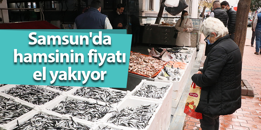 Samsun'da hamsinin fiyatı el yakıyor - samsun haber