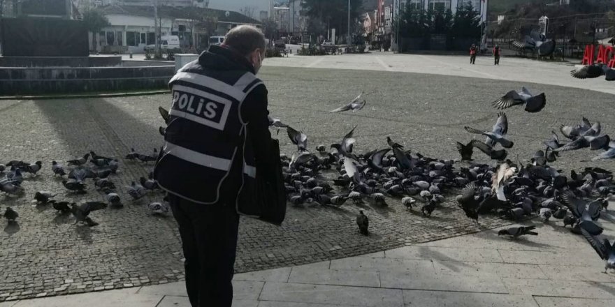 Samsun'da aç kalan kuşlara polisler yem verdi - samsun haber