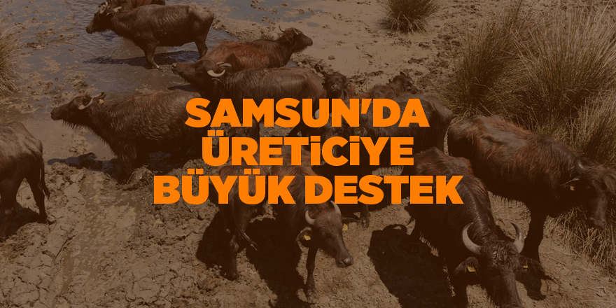 Samsun'da üreticiye büyük destek - samsun haber