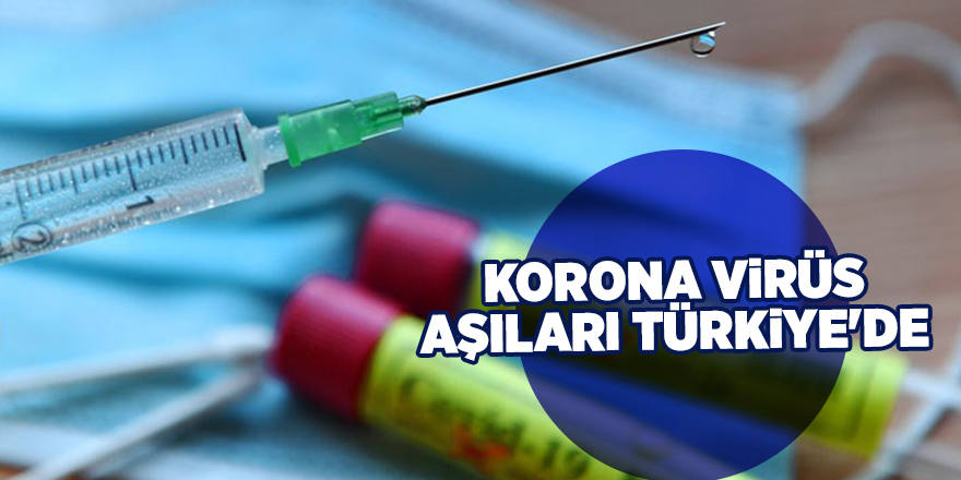 Korona virüs aşıları Türkiye'de  - samsun haber