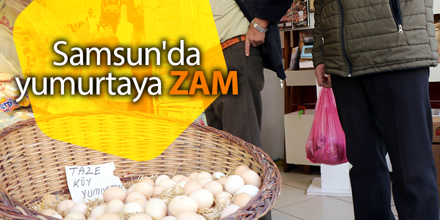 Samsun'da yumurtaya zam - samsun haber