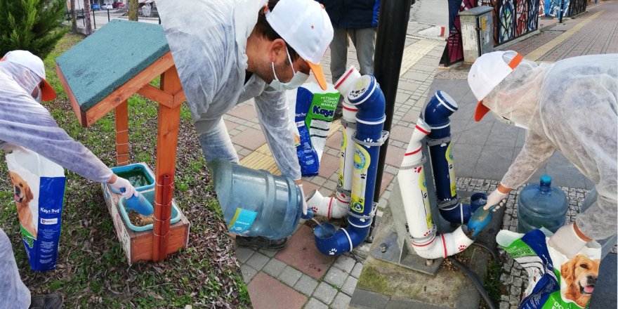 19 Mayıs Belediyesi can dostları unutmadı - samsun haber