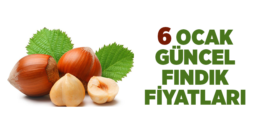 6 Ocak  güncel fındık fiyatları - samsun haber