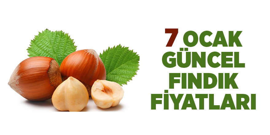 7 Ocak  güncel fındık fiyatları - samsun haber