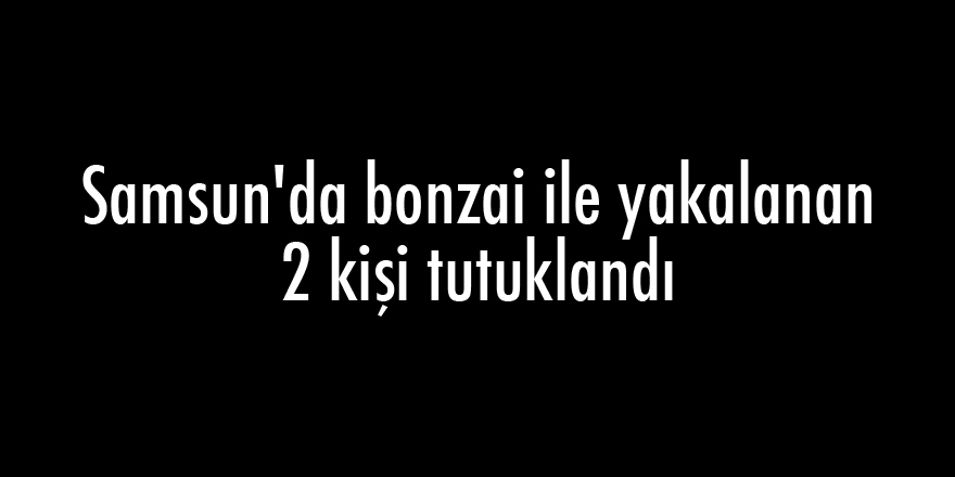 Samsun'da bonzai ile yakalanan 2 kişi tutuklandı