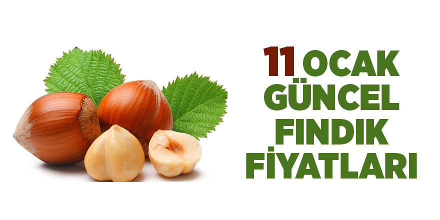 11 Ocak  güncel fındık fiyatları - samsun haber