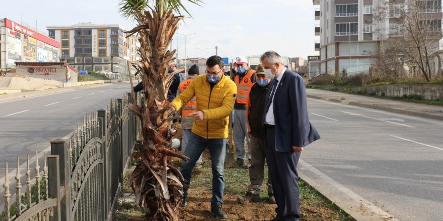 Bafra'nın çehresi güzelleşiyor - samsun haber