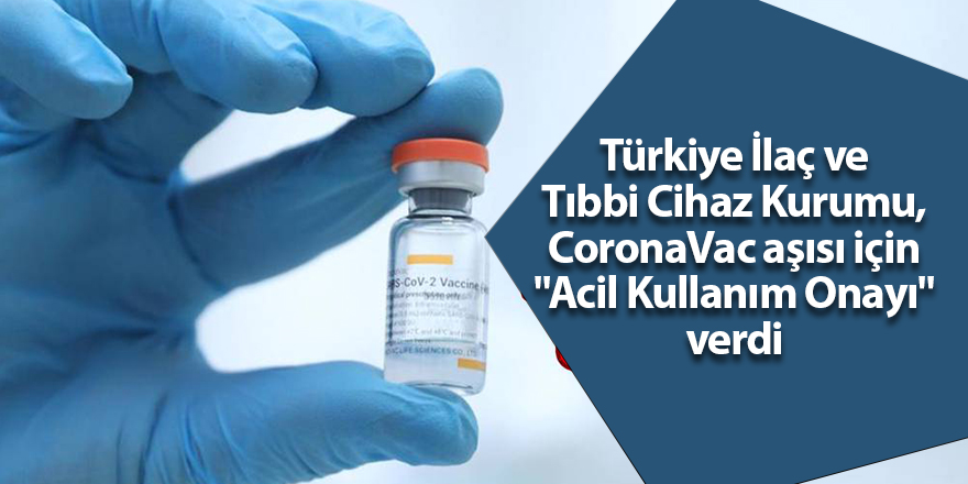 Türkiye İlaç ve Tıbbi Cihaz Kurumu, CoronaVac aşısı için "Acil Kullanım Onayı" verdi