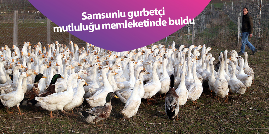 Samsunlu gurbetçi mutluluğu memleketinde buldu - samsun haber