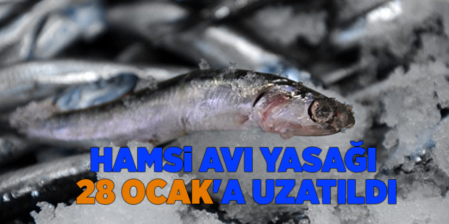 Hamsi avı yasağı  28 Ocak'a uzatıldı - samsun haber