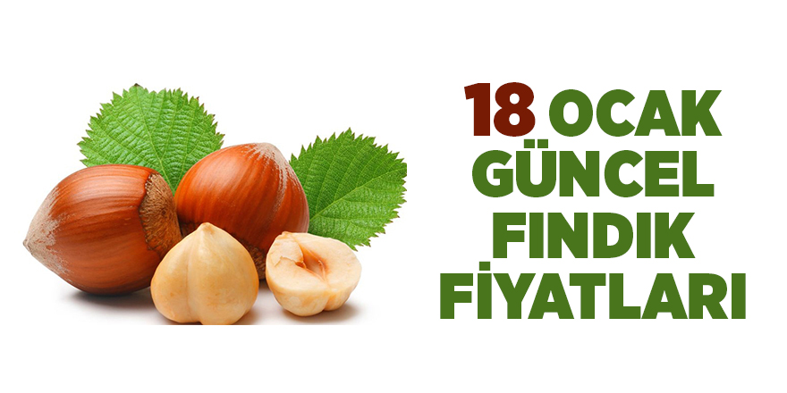 18 Ocak  güncel fındık fiyatları - samsun haber