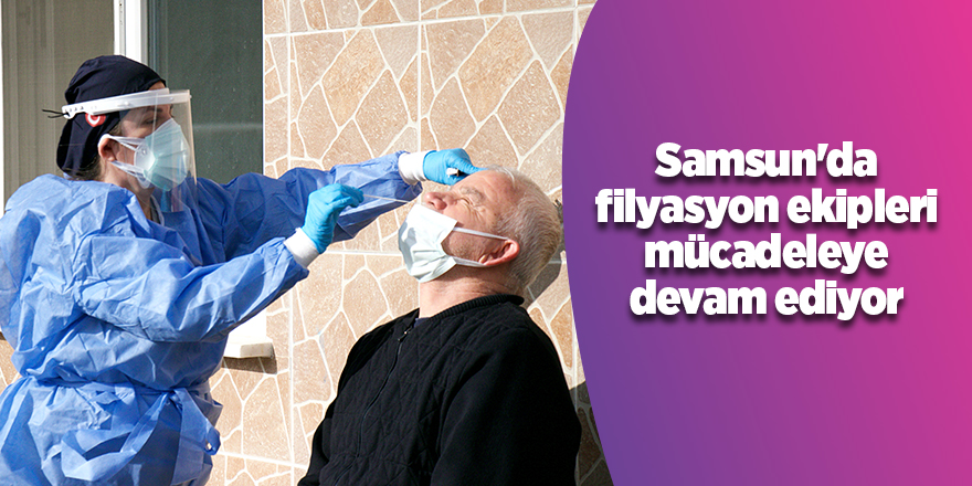 Samsun'da filyasyon ekipleri mücadeleye devam ediyor - samsun haber