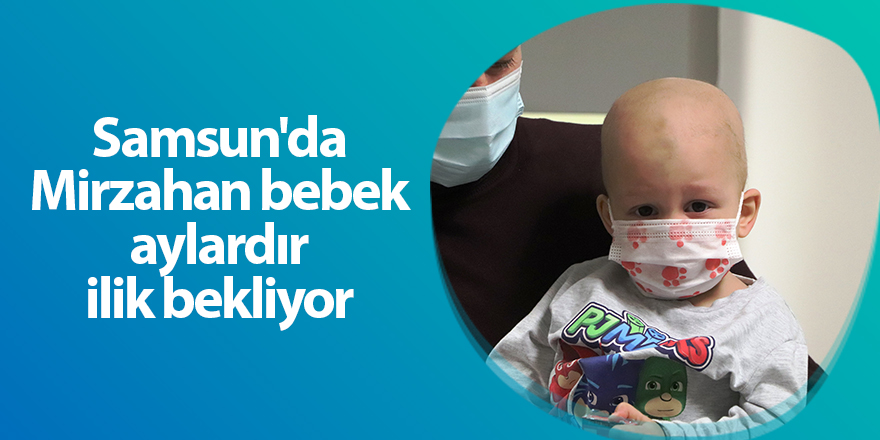 Samsun'da Mirzahan bebek aylardır ilik bekliyor - samsun haber