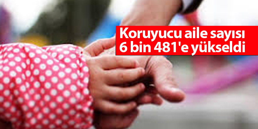 Koruyucu aile sayısı 6 bin 481'e yükseldi - samsun haber