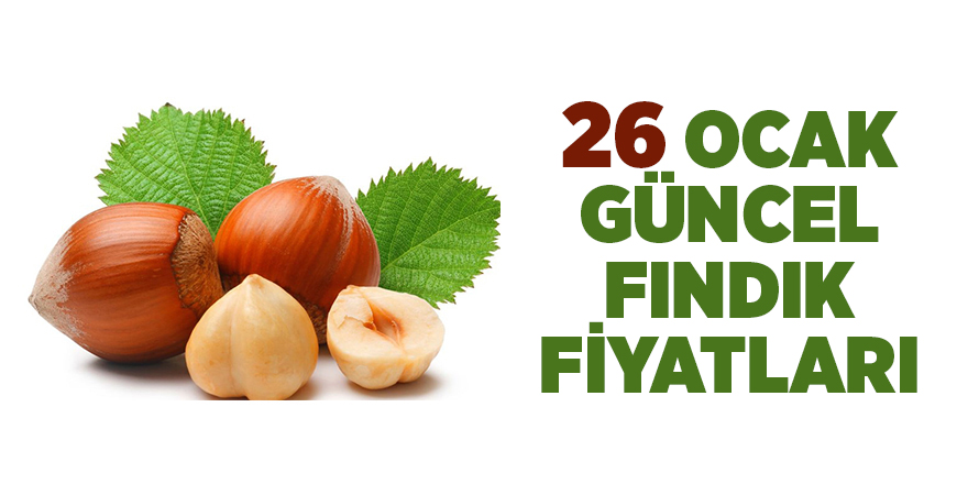 26 Ocak  güncel fındık fiyatları - samsun haber