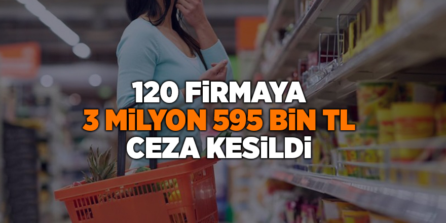 120 firmaya 3 milyon 595 bin TL ceza kesildi - samsun haber