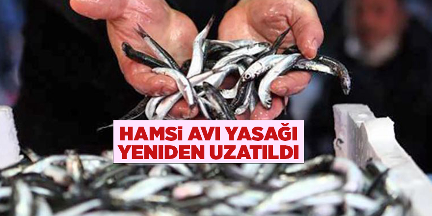 Hamsi avı yasağı yeniden uzatıldı - samsun haber