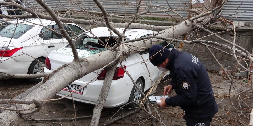 Samsun'da şiddetli rüzgarda kırılan ağaç otomobilin üzerine düştü - samsun haber