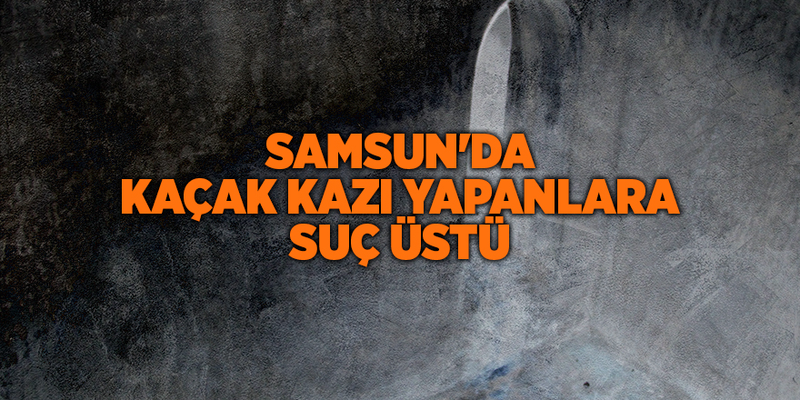 Samsun'da kaçak kazı yapanlara suç üstü - samsun haber