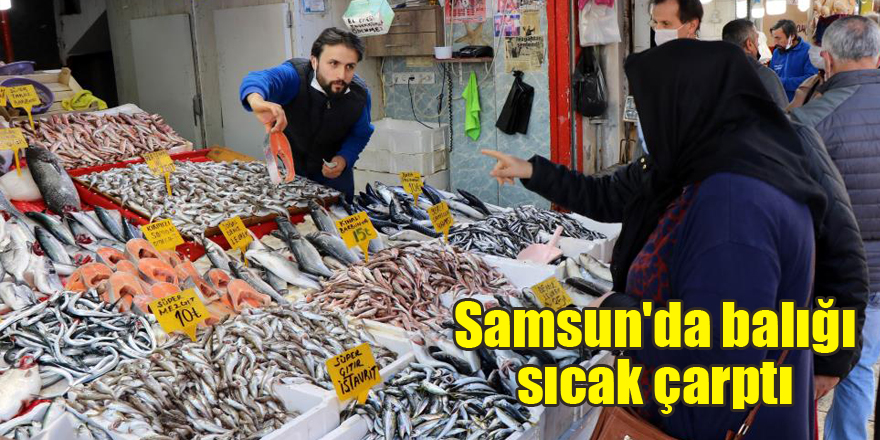 Samsun'da balığı sıcak çarptı - samsun haber