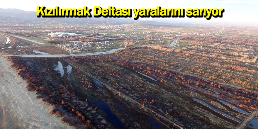 Kızılırmak Deltası yaralarını sarıyor - samsun haber