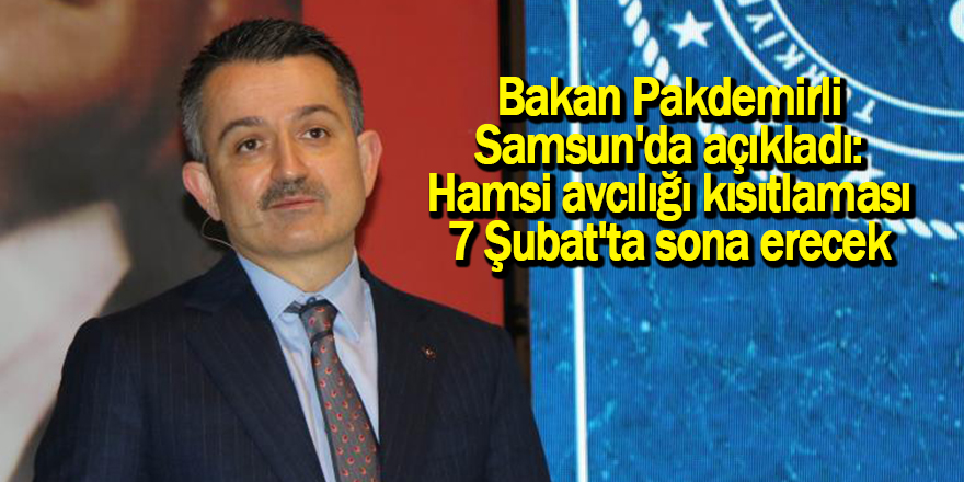 Bakan Pakdemirli: Hamsi avcılığı kısıtlaması 7 Şubat'ta sona erecek