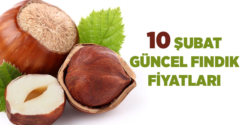 10 Şubat güncel fındık fiyatları - samsun haber