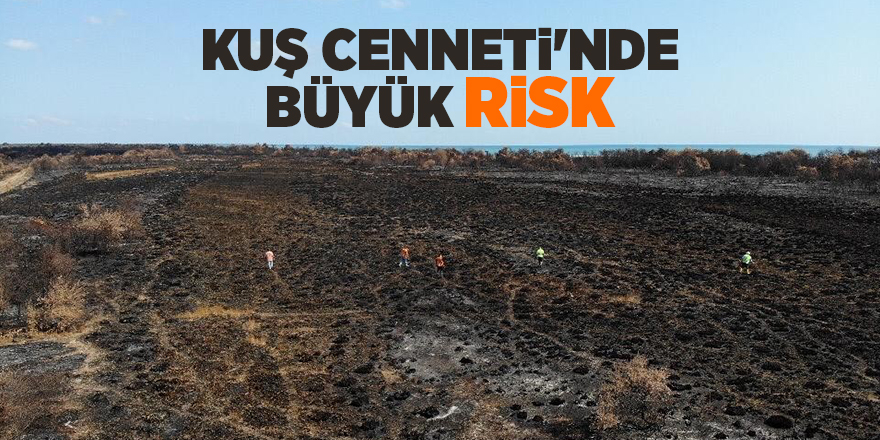 Kuş Cenneti'nde büyük risk - samsun haber