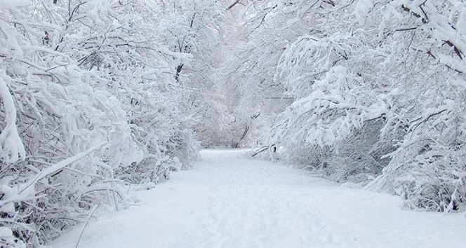 Meteorolojiden Samsun'a 3 kritik uyarısı - samsun haber