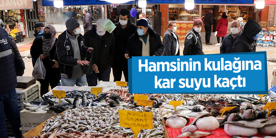 Hamsinin kulağına kar suyu kaçtı - samsun haber