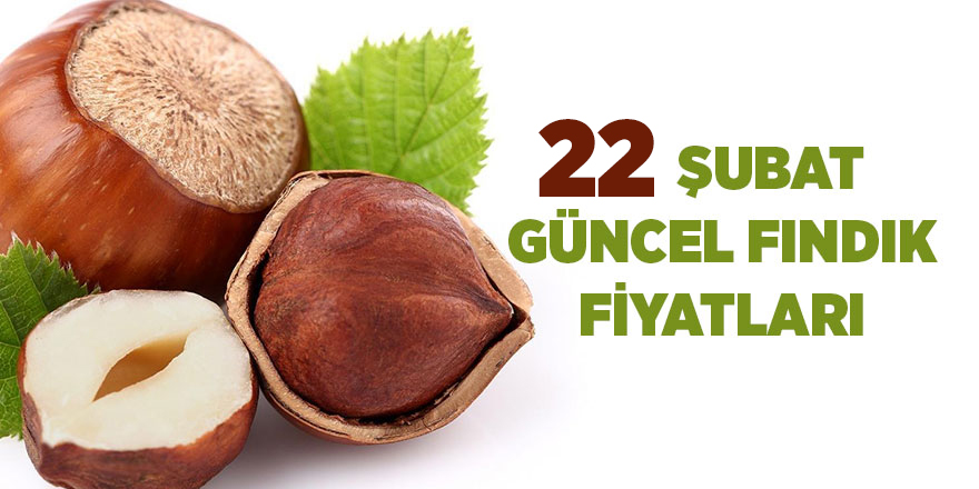 22 Şubat güncel fındık fiyatları - samsun haber