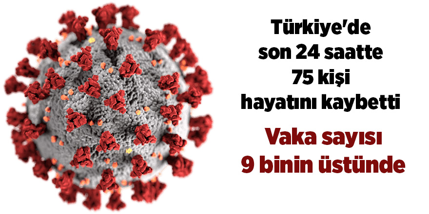 Türkiye'de son 24 saatte 75 kişi hayatını kaybetti - samsun haber