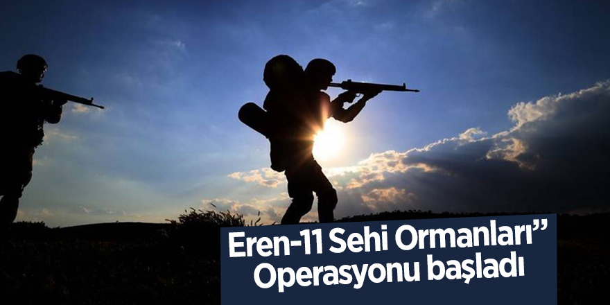 Eren-11 Sehi Ormanları” Operasyonu başladı - samsun haber